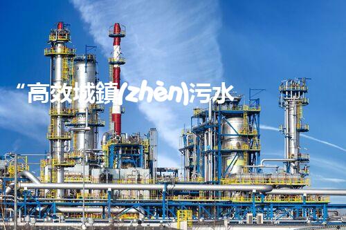 “高效城鎮(zhèn)污水處理流程，守護碧水藍天新篇章”